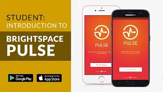 Student Introduction to Brightspace Pulse [upl. by Gnot]