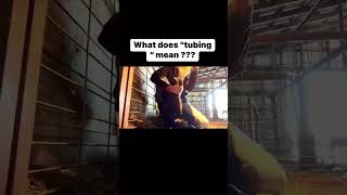 What does “tubing “ a calf mean [upl. by Thorlay]