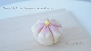 How to make 和菓子 Wagashi  Sakura Nerikiri  Demo for Vancouver Sakura Festival in 2021 [upl. by Atinor]