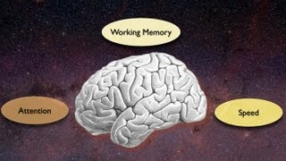 Exploring the Crossroads of Attention and Memory in the Aging Brain Views from the Inside [upl. by Gino327]