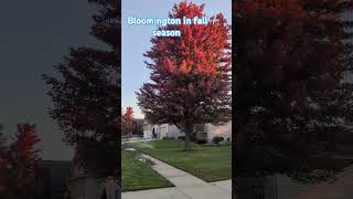 Bloomington in Fall season [upl. by O'Connell]