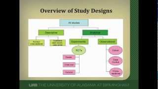 Cohort Studies A Brief Overview [upl. by Ainirtak665]