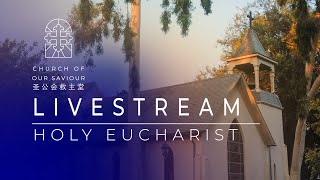 Holy Eucharist  Rite 2  Twentieth Sunday after Pentecost [upl. by Ahseat]