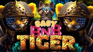 BabyBNBTiger aiuta gli altri e ottieni profitto [upl. by Vincent]