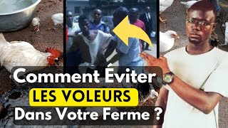 3 Méthodes Pour Lutter Contre le Vol dans Votre Ferme dÉlevage de Poulets [upl. by Ronna]