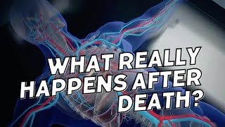 What Happens to the Body After Death  A StepbyStep Breakdown [upl. by Novehs757]