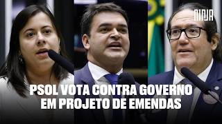 🔥Psol diverge do PT sobre emendas🔥Projeto passa sem garantir transparência🔥Dino manterá bloqueio🔥 [upl. by Farra205]