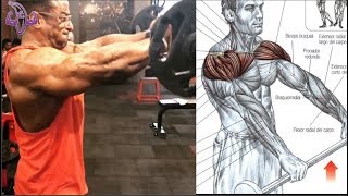 7 Ejercicios para Entrenar Pecho y Hombros 7 Exercises to Train Chest and Shoulders [upl. by Eudosia]