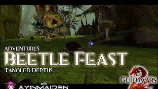 Guild Wars 2  Adventure  Beetle Feast Gold [upl. by Marvella271]