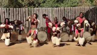 AfriQuest  Swazi warriors dancing [upl. by Aljan]