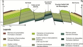 Réalisation dune coupe géologique en structure complexe  faillé [upl. by Guimond]