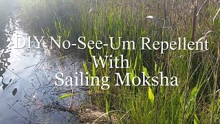 DIY NoSeeUm Repellent That Works [upl. by Siul770]