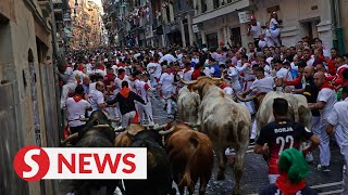 Running of the bulls takes place at Spanish festival [upl. by Dremann]