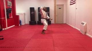 Kanku Dai Half Speed Shotokan Kata by Brandon Abdullah [upl. by Chrysler896]