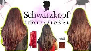 Schwarzkopf Igora 688  Red Blonde Red Extra  Hair Color At Home  Salon Hair Color At Home color [upl. by Shorter113]