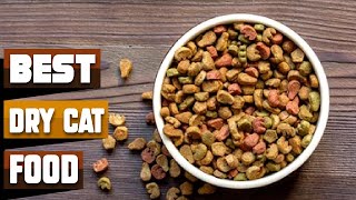 Best Dry Cat Food In 2024  Top 10 Dry Cat Foods Review [upl. by Helge]