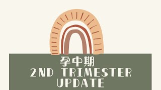 孕中期碎碎念 Second Trimester Updates 1328 weeks [upl. by Nanaj]