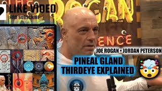 Joe Rogan and Jordan Peterson Discuss Pineal Gland  Third Eye [upl. by Shum]