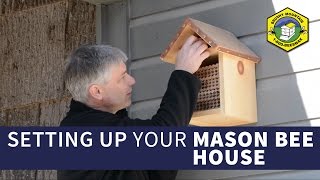 Setting Up Your Mason Bee House [upl. by Mufi]