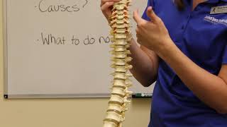 Symptoms of Cervical Radiculopathy Neck Pain  Physical Therapy SterlingVA [upl. by Nwahsid]