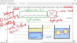 DSE CHEM 2019 SQ 15 [upl. by Anih]