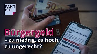 Bürgergeld – zu niedrig zu hoch zu ungerecht  Fakt ist  MDR [upl. by Draneb556]