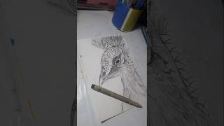 Peacock Art Tutorial A StepbyStep Guide🎇shorts drawing [upl. by Terrie]