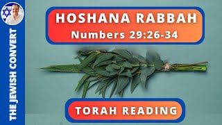 HOSHANA RABBAH TORAH READING in Hebrew with English Translation  TORAH STUDY [upl. by Nolita]