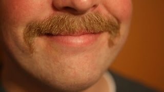 How to Grow a Glorious Stache [upl. by Ruckman55]