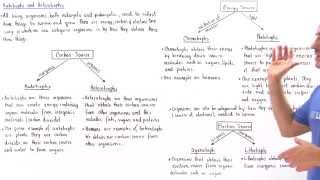 Autotrophs and Heterotrophs [upl. by Ainotahs688]