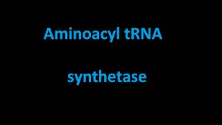 Aminoacyl tRNA synthetase [upl. by Llednik955]