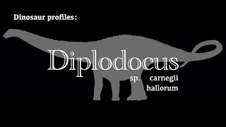 Dinosaur Profile Diplodocus [upl. by Leuqcar114]