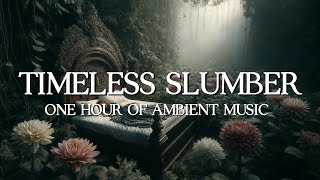 Timeless Slumber  1 HOUR OF AMBIENT SOUND [upl. by Pass]