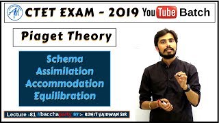 Piaget Theory Schema Assimilation AccommodationEquilibration  CDP CTET 2019 [upl. by Susanne]