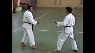 International Karate Panizzi Stage Rivoltella 31011993 [upl. by Blaine]