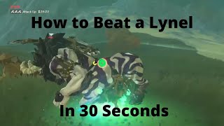 How to kill a lynel in 30 seconds or less [upl. by Essa]