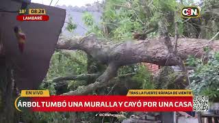 Árbol cae sobre vivienda en Lambaré y causa importantes daños [upl. by Leuname567]