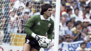 Ubaldo Fillol el Pato Best Saves [upl. by Ellekim]