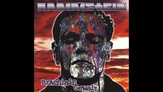 Rammstein  Engel AlienSpaceInformerMix [upl. by Solita]