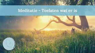 Meditatie  Omgaan met chronische ziekte vermoeidheid en pijn [upl. by Ibrad]