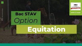 L option équitation en seconde générale et STAV [upl. by Tapes]