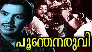 Poonthenaruvi 1974 Full Malayalam Movie [upl. by Nylzaj367]