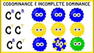 Codominance and Incomplete Dominance NonMendelian Genetics [upl. by Mar]