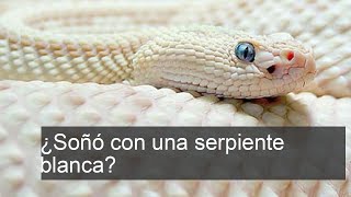 Descubre el Significado Oculto de Soñar con una Serpiente Blanca [upl. by Chuch]