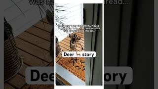 This deer needed help wholesome cute animals story shorts deer [upl. by Iona]