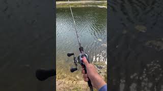 Daiwa Tatula sv weightless Texas rig [upl. by Adiell]