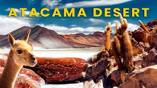 THE ATACAMA DESERT  why should you visit  5 days itinerary [upl. by Yelik771]