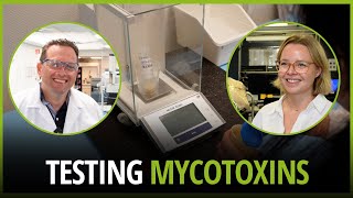 Testing feed materials for mycotoxin contamination [upl. by Winnifred]