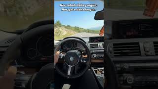 bmw keşfet youtubeshorts capcut tiktok instagram youtube viralvideo duet edit cat reels [upl. by Ais]