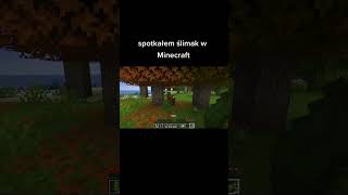 spotkalem slimak w minecraft minecraft ślimak [upl. by Catha]